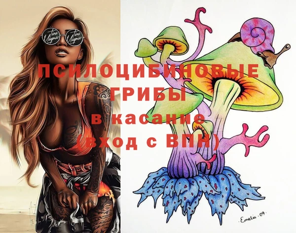 ешки Каменногорск