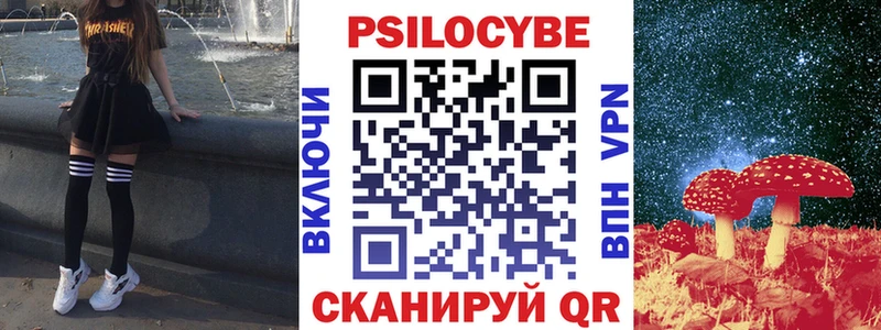 Купить закладки  Кизляр  Галлюциногенные грибы GOLDEN TEACHER 